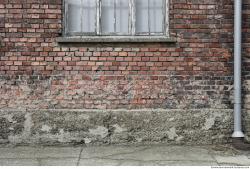 Photo Textures of Wall Bricks